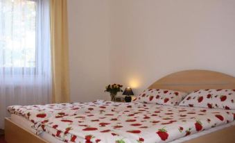 Hotel Haus Salzberg Garni
