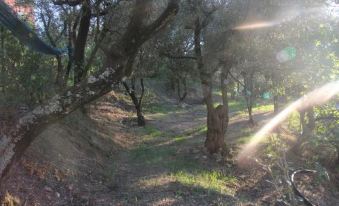 Agriturismo Antico Casale Colli di San Pietro