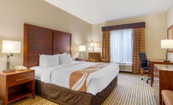 Quality Inn & Suites Decatur - Atlanta East