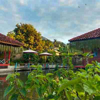 Villa Edelweiss Hotel Exterior