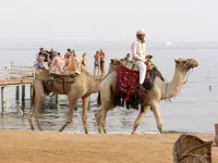 Happy Life Village Dahab - รีสอร์ท