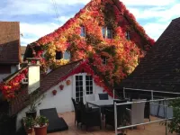 Guesthouse les Mignardises Hotels in Neuhausen am Rheinfall
