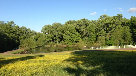 Meadow View Farm Bed & Breakfast