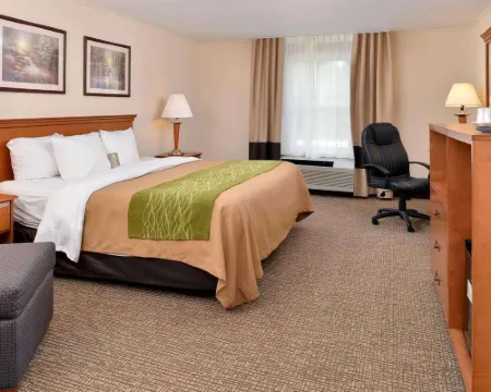 Quality Inn Selinsgrove Hotels in Snyder County