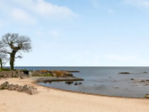 "Majvi" - 300m from the Sea 阿靈厄住宿飯店