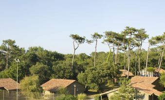 Village Vacances la Forêt des Landes