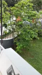 Village Villa Home Stay