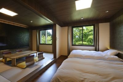 和洋式デラックスツインルーム(共用バスルーム,専用トイレ) 箱根レイクホテルの写真