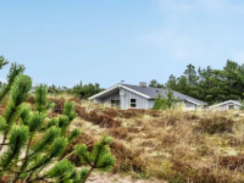 "Tino" - 900m from the Sea