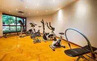 Pyramisa Island Hotel Aswan - Gym