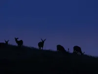 Kyukamura Chausuyama-Kogen Hotel a Urugi