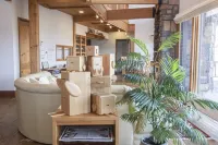 Sanso Harunoki Staffresident Type