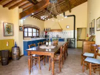 Vineyard View