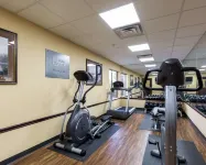Comfort Suites Lake Jackson Clute - Gym