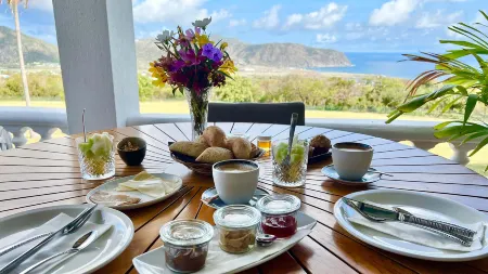 Quill Gardens Boutique Hotel Отели в г. Ораньестад