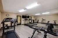 Quality Inn & Suites Big Rapids Near University - Gym
