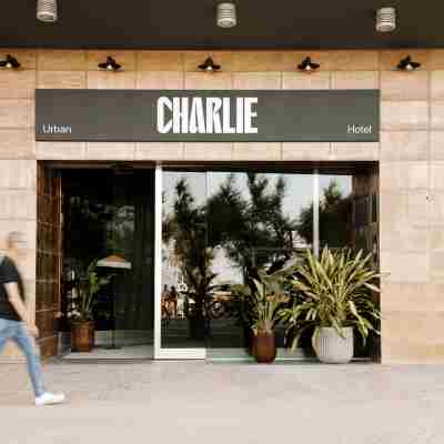 Charlie in Pesaro Hotel Exterior