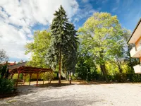 Alice Hotels near Morzsa KERT