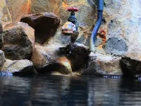 Ryokan Fujiya