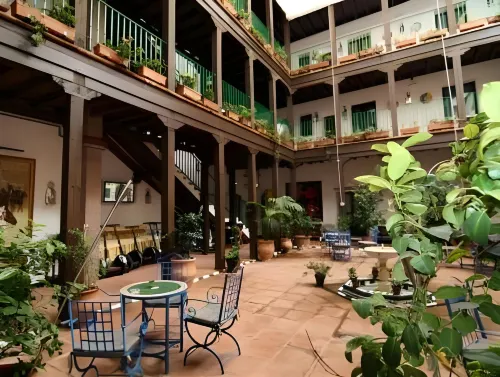 El Rey Moro Hotel Boutique - สัตว์เลี้ยง
