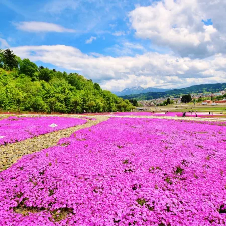 Tochiomata Onsen Healing Hot Spring Inn Jinpukan