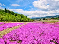 Tochiomata Onsen Healing Hot Spring Inn Jinpukan - Hot Springs