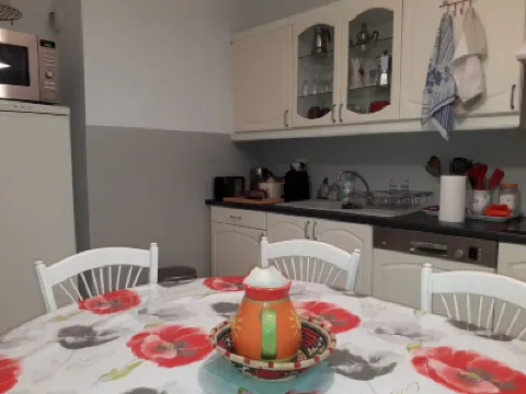 T4-5 with view of the Alps 5 minutes from Lyon Hotels near Aquarium of Lyon