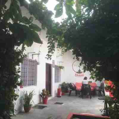 The Highvill Home Stay Hotel Exterior