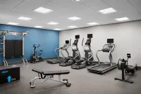 Hampton Inn & Suites Charlotte Steele Creek - palestra