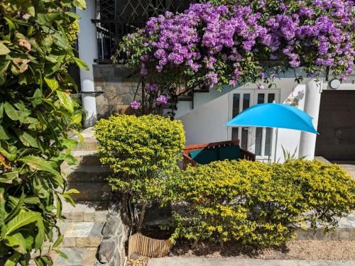 Hotel Captain's Quarters Studio, Exterior, Garden