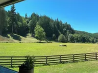Beautiful New Home Short Drive to Bandon Beach and the Coquille River!