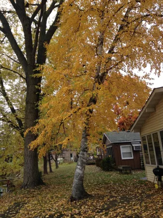 2 Bedroom Cottage On The Pond