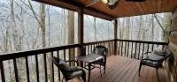 Honeymoon Cabin, Very Secluded, Very Romantic, Arcade, FREE Daily Bear Sightings