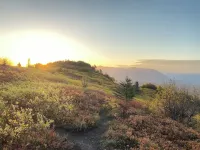 Rustic and cozy cabin with all new amenities near beautiful Hatcher’s Pass