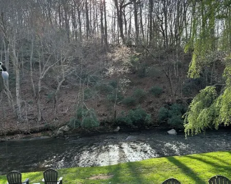 Cozy creek side cabin.  Pet Friendly.   Single Story, with ramp at entry Hotels in Laurel Fork