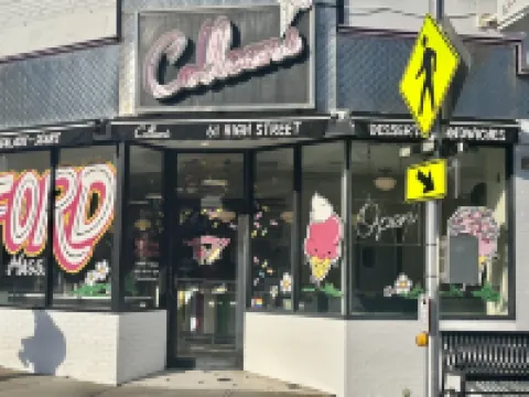 Garden Studio, access to I-93 to Airport, Tufts U, Hiking & Chevalier Theater.