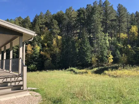 Deadwood Two Bit Cabin on the Creek