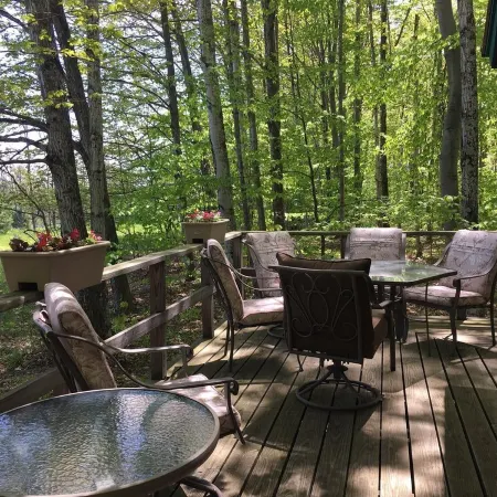 Peace And Tranquility Setting In The Woods!