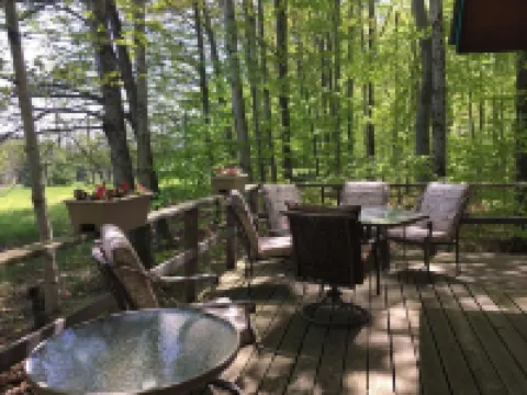 Peace And Tranquility Setting In The Woods!