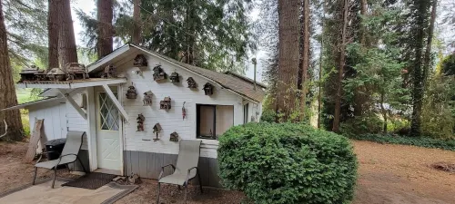 Rustic forest cabin - perfect for solo travelers who cherish privacy and quiet. Hotels in Columbia County