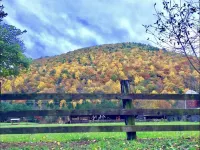 Outdoorsman’s Paradise