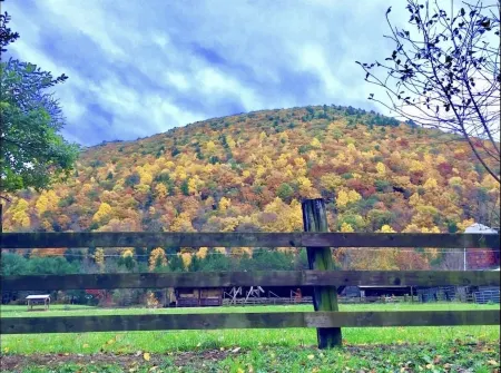 Outdoorsman’s Paradise