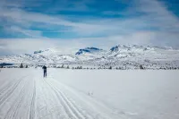 Modern Mountain Cabin - Sauna - 5 Bedrooms - Sleeps for 10 Hotel di Al