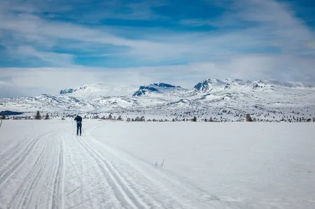 Modern Mountain Cabin - Outdoor Hot Tub - 8 Beds Отели в г. Ол