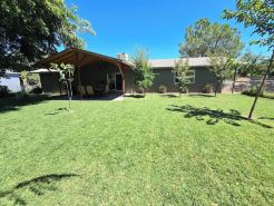 Willow Pond Oasis