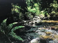 Coomalie Studio - Secluded Bushland Getaway