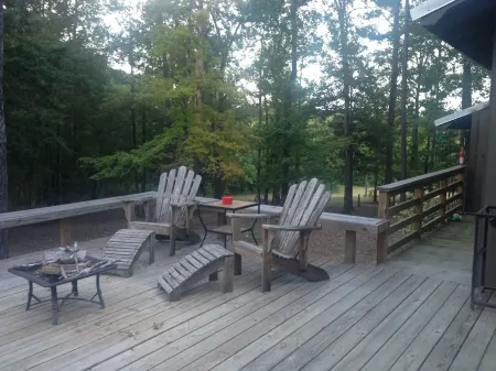 Peaceful Cabin on 8 wooded acres 3 Miles From MSU Campus