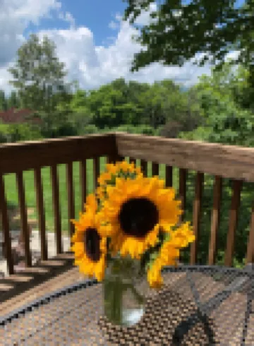 Experience serene stays near The Blowing Rock. Only 1 mile from town!