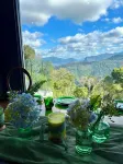 Belvedere Summer House Gold Coast Hinterland STAY PLAY EAT RELAX REPEAT