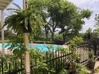 Top of the Hill-Cozy 1 bed/1 bath cottage, less than one mile to downtown.